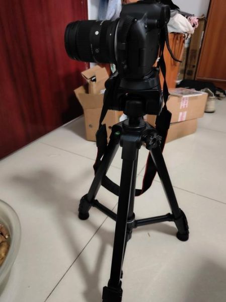 1855镜头能拍多远_实际拍摄距离是多少-第3张图片-星辰妙记