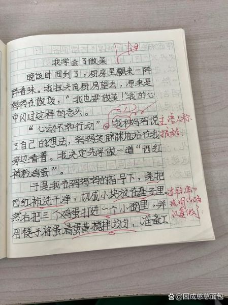 学会了什么作文怎么写_学会了什么作文写作技巧-第2张图片-星辰妙记