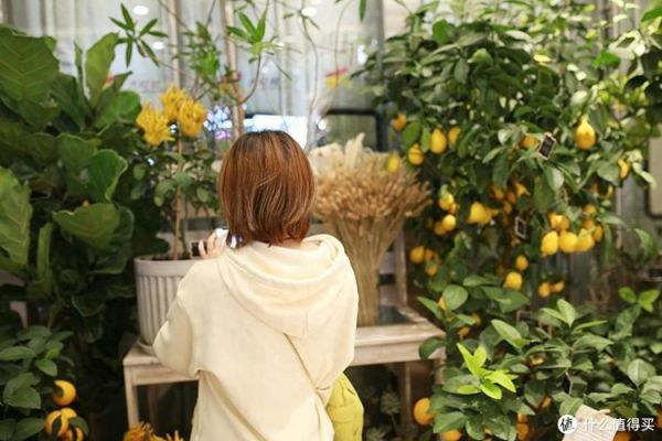 85人像定焦镜头怎么选_85mm镜头适合拍什么-第3张图片-星辰妙记