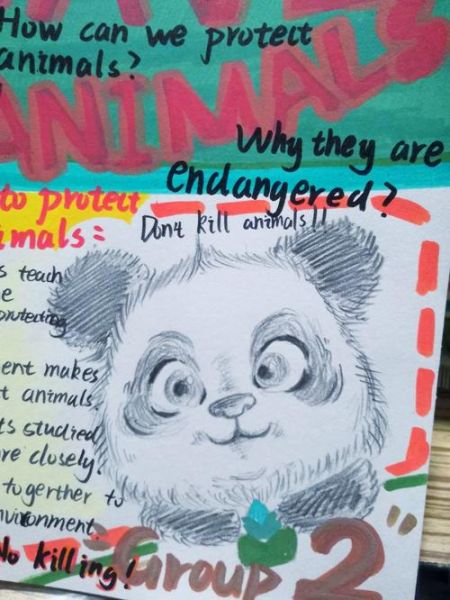 why_are_pandas_endangered_how_to_save_them-第1张图片-星辰妙记