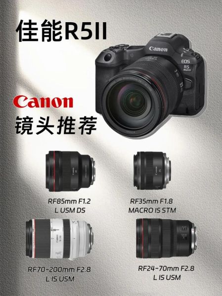 佳能镜头怎么选_佳能镜头推荐2024-第3张图片-星辰妙记