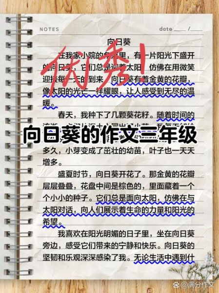 向日葵为什么总是向着太阳_向日葵作文怎么写-第1张图片-星辰妙记 向日葵为什么总是向着太阳_向日葵作文怎么写-第1张图片-星辰妙记