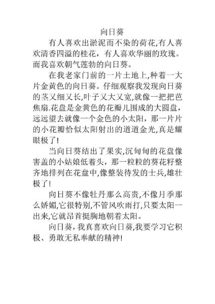 向日葵为什么总是向着太阳_向日葵作文怎么写-第3张图片-星辰妙记 向日葵为什么总是向着太阳_向日葵作文怎么写-第3张图片-星辰妙记