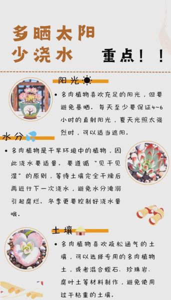 多肉植物怎么养_多肉多久浇一次水-第2张图片-星辰妙记 多肉植物怎么养_多肉多久浇一次水-第2张图片-星辰妙记