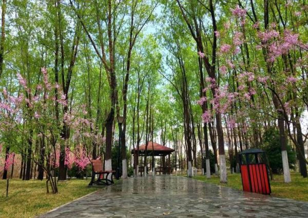 兰州财经大学全国排名_兰州财经大学怎么样-第2张图片-星辰妙记 兰州财经大学全国排名_兰州财经大学怎么样-第2张图片-星辰妙记