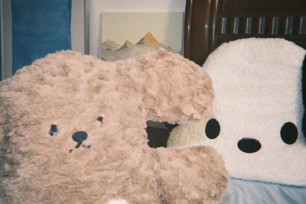 什么是泛焦镜头_泛焦镜头适合拍什么-第2张图片-星辰妙记