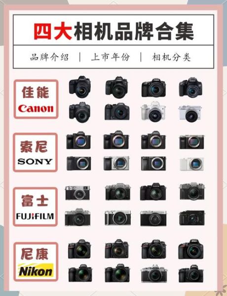单反镜头哪个牌子好_佳能尼康索尼怎么选-第1张图片-星辰妙记