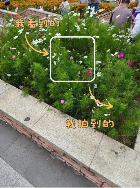 长焦镜头适合拍什么_长焦镜头和广角镜头区别-第3张图片-星辰妙记 长焦镜头适合拍什么_长焦镜头和广角镜头区别-第3张图片-星辰妙记