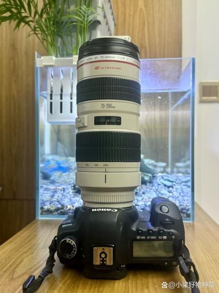 单反镜头排名_哪个品牌最值得买-第3张图片-星辰妙记