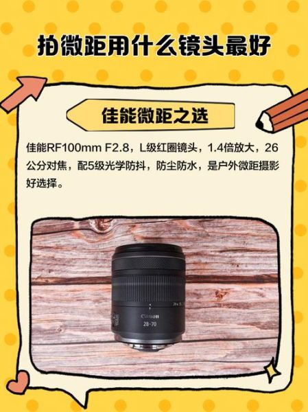 微距镜头怎么选_微距镜头拍什么最好看-第3张图片-星辰妙记 微距镜头怎么选_微距镜头拍什么最好看-第3张图片-星辰妙记