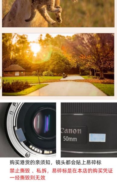 f1.4镜头适合拍什么_f1.4大光圈优缺点-第1张图片-星辰妙记 f1.4镜头适合拍什么_f1.4大光圈优缺点-第1张图片-星辰妙记