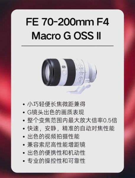 微距镜头怎么选_微距镜头拍什么最好看-第2张图片-星辰妙记 微距镜头怎么选_微距镜头拍什么最好看-第2张图片-星辰妙记