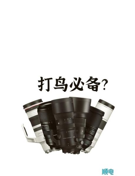 打鸟用什么镜头_打鸟镜头推荐-第1张图片-星辰妙记 打鸟用什么镜头_打鸟镜头推荐-第1张图片-星辰妙记