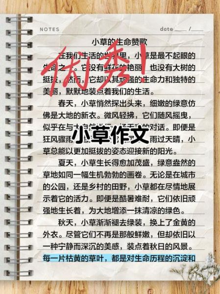 小草作文怎么写_小草作文300字如何扩展-第2张图片-星辰妙记 小草作文怎么写_小草作文300字如何扩展-第2张图片-星辰妙记