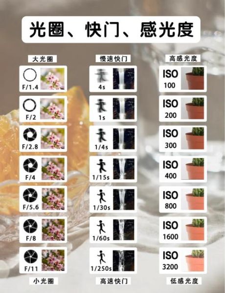 镜头速度是什么_怎么选合适的光圈快门组合-第3张图片-星辰妙记 镜头速度是什么_怎么选合适的光圈快门组合-第3张图片-星辰妙记