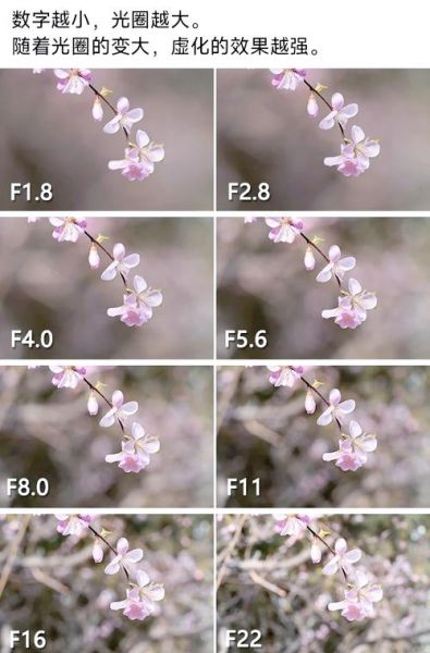 镜头焦距怎么选_光圈大小如何影响景深-第3张图片-星辰妙记 镜头焦距怎么选_光圈大小如何影响景深-第3张图片-星辰妙记