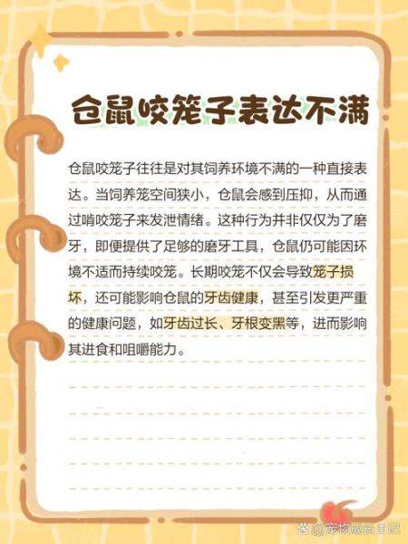 仓鼠为什么咬笼子_仓鼠咬笼子怎么办-第2张图片-星辰妙记 仓鼠为什么咬笼子_仓鼠咬笼子怎么办-第2张图片-星辰妙记