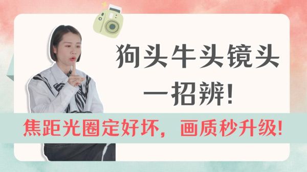 牛头镜头是什么意思_牛头镜头和狗头镜头区别-第1张图片-星辰妙记 牛头镜头是什么意思_牛头镜头和狗头镜头区别-第1张图片-星辰妙记