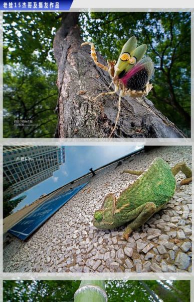 广角移轴镜头怎么选_广角移轴镜头适合拍什么-第2张图片-星辰妙记 广角移轴镜头怎么选_广角移轴镜头适合拍什么-第2张图片-星辰妙记