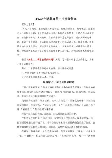 初三作文怎么写_如何拿高分-第3张图片-星辰妙记 初三作文怎么写_如何拿高分-第3张图片-星辰妙记