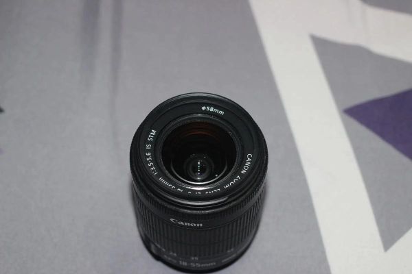 佳能狗头镜头值得买吗_适合拍什么题材-第2张图片-星辰妙记 佳能狗头镜头值得买吗_适合拍什么题材-第2张图片-星辰妙记