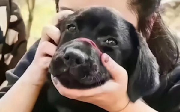 佳能狗头镜头值得买吗_适合拍什么题材-第3张图片-星辰妙记 佳能狗头镜头值得买吗_适合拍什么题材-第3张图片-星辰妙记