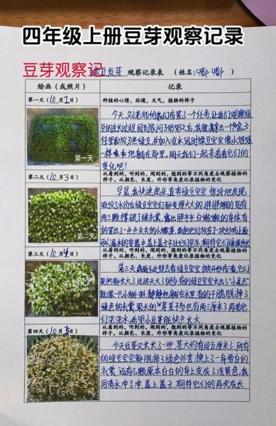 四年级上册第三单元作文怎么写_观察植物日记怎么写-第1张图片-星辰妙记 四年级上册第三单元作文怎么写_观察植物日记怎么写-第1张图片-星辰妙记
