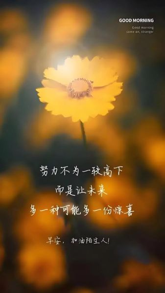 如何活出自己的精彩_什么是真正的自我实现-第3张图片-星辰妙记 如何活出自己的精彩_什么是真正的自我实现-第3张图片-星辰妙记