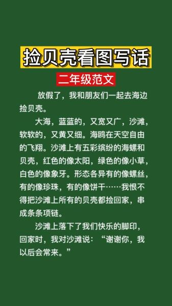 捡贝壳作文怎么写_海边拾贝有哪些细节可描写-第3张图片-星辰妙记 捡贝壳作文怎么写_海边拾贝有哪些细节可描写-第3张图片-星辰妙记