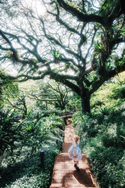 腾龙18-200镜头怎么样_腾龙18-200适合拍什么-第3张图片-星辰妙记 腾龙18-200镜头怎么样_腾龙18-200适合拍什么-第3张图片-星辰妙记