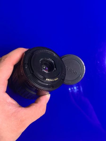 80-200镜头值得买吗_适合拍什么题材-第3张图片-星辰妙记