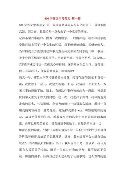 中考作文怎么写_中考作文800字范文-第1张图片-星辰妙记 中考作文怎么写_中考作文800字范文-第1张图片-星辰妙记