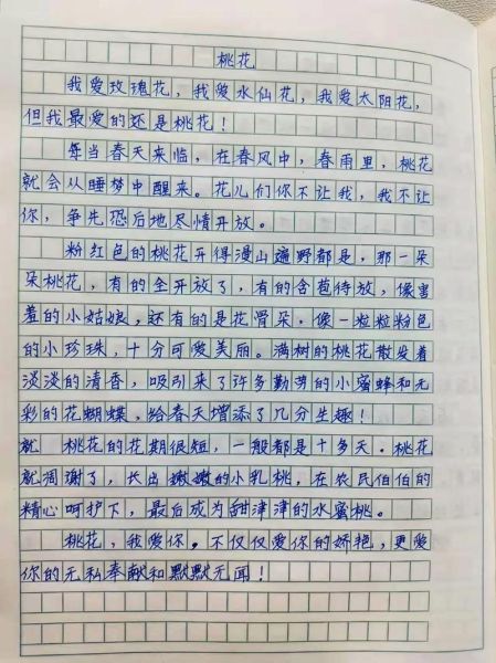 桃花作文怎么写_描写桃花的优美段落有哪些-第2张图片-星辰妙记 桃花作文怎么写_描写桃花的优美段落有哪些-第2张图片-星辰妙记