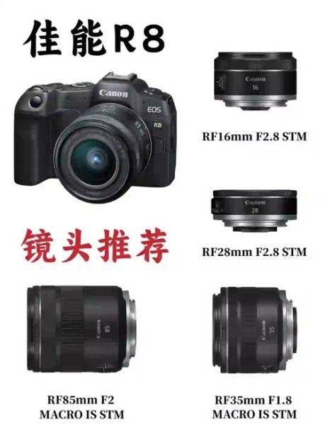顶级单反镜头怎么选_全画幅镜头推荐-第2张图片-星辰妙记 顶级单反镜头怎么选_全画幅镜头推荐-第2张图片-星辰妙记