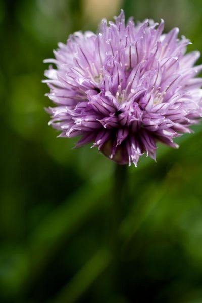 莱卡镜头样片画质如何_莱卡镜头适合拍什么题材-第3张图片-星辰妙记 莱卡镜头样片画质如何_莱卡镜头适合拍什么题材-第3张图片-星辰妙记