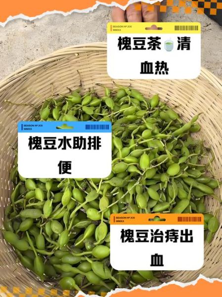 孕妇可以喝槐豆水吗_槐豆水对胎儿有影响吗-第1张图片-星辰妙记 孕妇可以喝槐豆水吗_槐豆水对胎儿有影响吗-第1张图片-星辰妙记