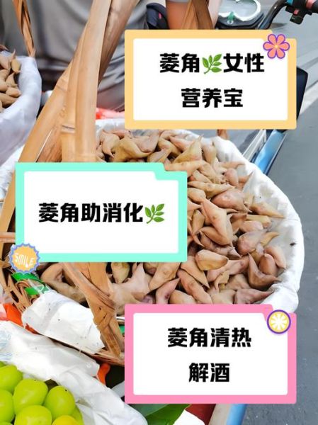 孕妇可以吃菱角吗_孕妇吃菱角注意事项-第1张图片-星辰妙记