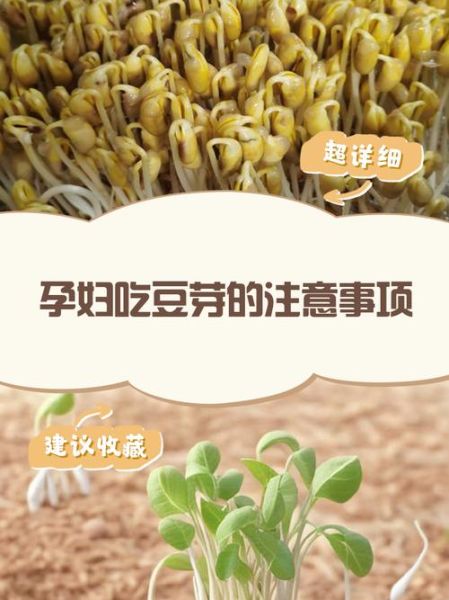 孕妇可以吃豆芽吗_孕妇吃豆芽注意事项-第1张图片-星辰妙记 孕妇可以吃豆芽吗_孕妇吃豆芽注意事项-第1张图片-星辰妙记