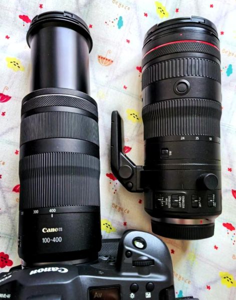 佳能400镜头怎么样_佳能400mm镜头值得买吗-第1张图片-星辰妙记 佳能400镜头怎么样_佳能400mm镜头值得买吗-第1张图片-星辰妙记