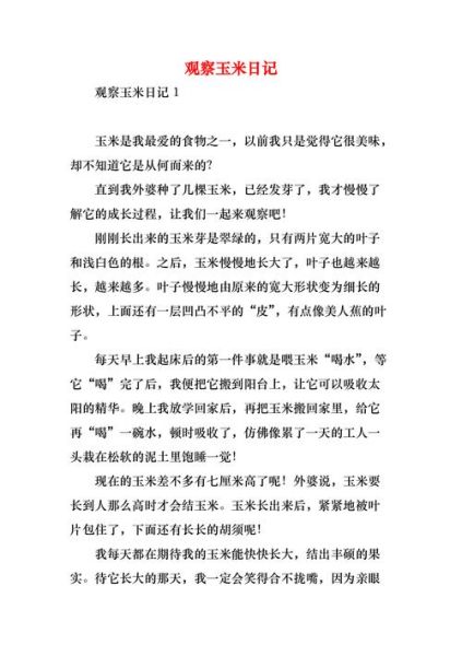 玉米作文怎么写_玉米作文开头怎么写-第3张图片-星辰妙记 玉米作文怎么写_玉米作文开头怎么写-第3张图片-星辰妙记