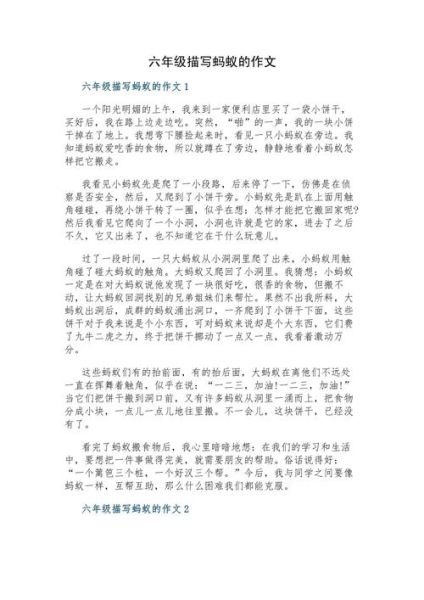 致蚂蚁的信怎么写_作文素材有哪些-第1张图片-星辰妙记