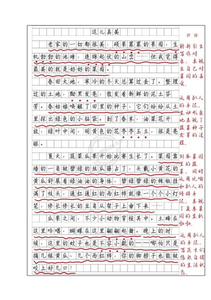 这儿真美作文怎么写_这儿真美写作技巧-第1张图片-星辰妙记