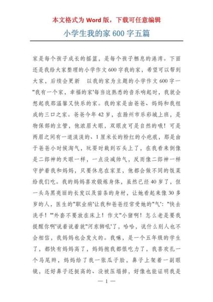 家的作文600字怎么写_家的意义是什么-第1张图片-星辰妙记