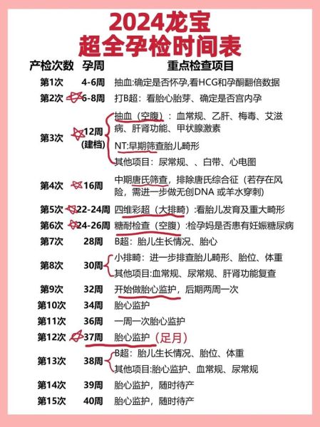 孕妇必须做哪些检查_孕早期到晚期检查时间表-第1张图片-星辰妙记 孕妇必须做哪些检查_孕早期到晚期检查时间表-第1张图片-星辰妙记