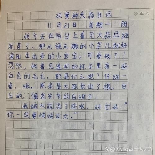 小学生如何写观察植物的作文_观察植物作文怎么写-第1张图片-星辰妙记 小学生如何写观察植物的作文_观察植物作文怎么写-第1张图片-星辰妙记