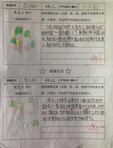 小学生如何写观察植物的作文_观察植物作文怎么写-第3张图片-星辰妙记 小学生如何写观察植物的作文_观察植物作文怎么写-第3张图片-星辰妙记