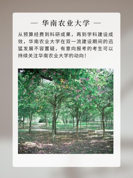 华南农业大学是211吗_华南农业大学属于211吗-第2张图片-星辰妙记 华南农业大学是211吗_华南农业大学属于211吗-第2张图片-星辰妙记