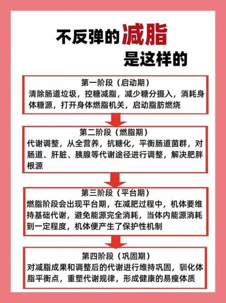 胖会不会影响健康_胖的人怎么减肥-第3张图片-星辰妙记 胖会不会影响健康_胖的人怎么减肥-第3张图片-星辰妙记