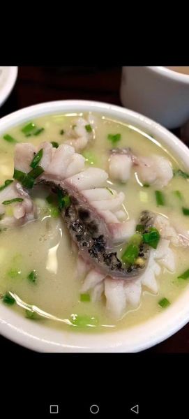 孕妇可以吃乌鱼吗_乌鱼汤对胎儿好吗-第1张图片-星辰妙记 孕妇可以吃乌鱼吗_乌鱼汤对胎儿好吗-第1张图片-星辰妙记