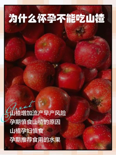 孕妇能吃山楂吗_山楂对胎儿有影响吗-第1张图片-星辰妙记 孕妇能吃山楂吗_山楂对胎儿有影响吗-第1张图片-星辰妙记